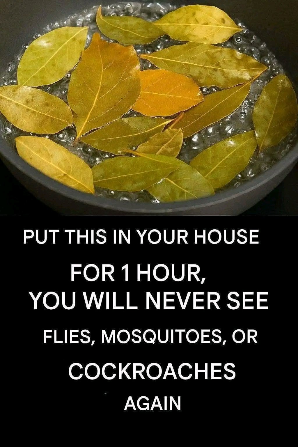 1762747875987